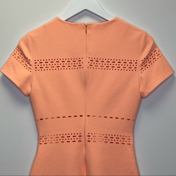 Elizabeth and James Laser Cutout Ari Dress Size 4 - Picture 9 of 17